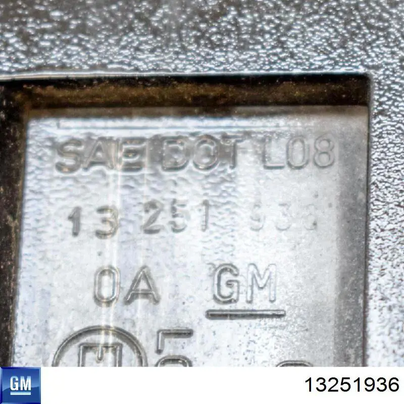 Comprar 13251936 General Motors Luz matricula