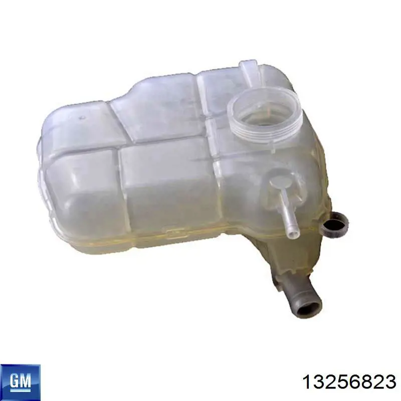 Vaso de expansión 13256823 General Motors