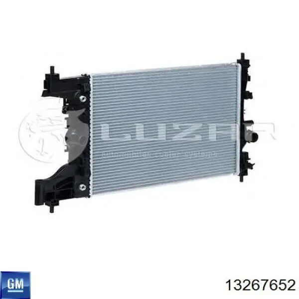 Água radiador General Motors 13267652 precio, desde 93,06 EUR