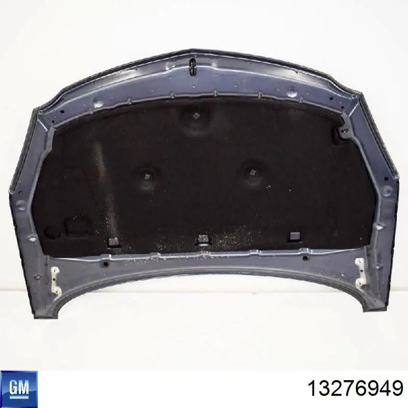 13276949 General Motors Capó delantero