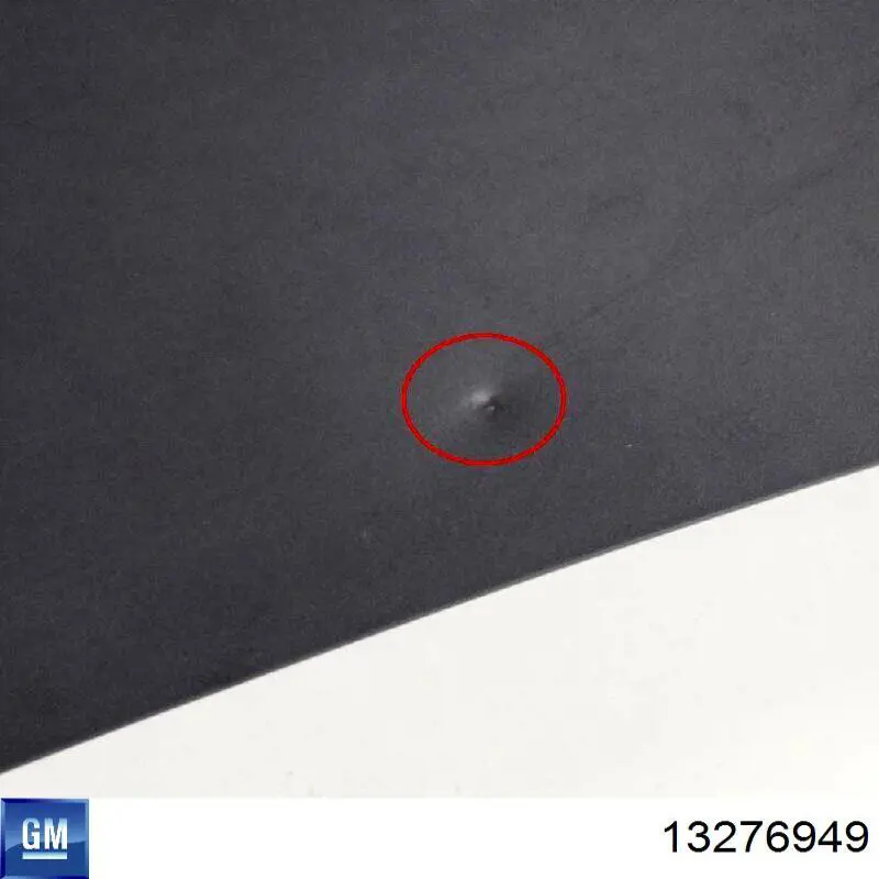 Comprar 13276949 General Motors Capó