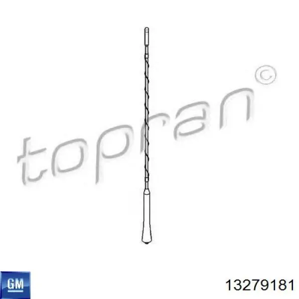 Vástago de antena 13279181 General Motors