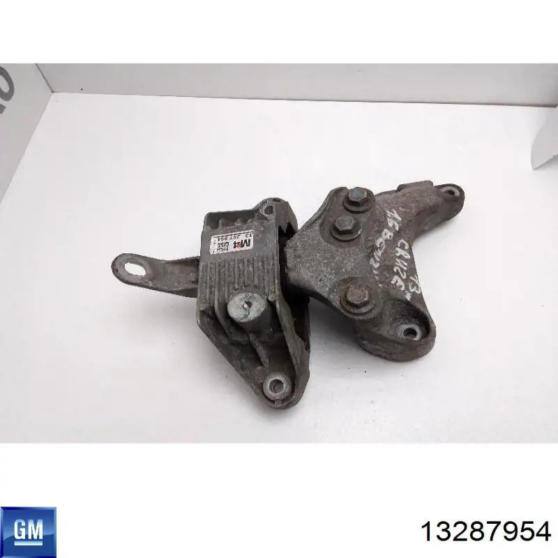  General Motors 13287954 precio, desde 68,24 EUR