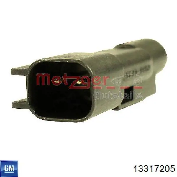 Sensor ABS trasero 13317205 General Motors