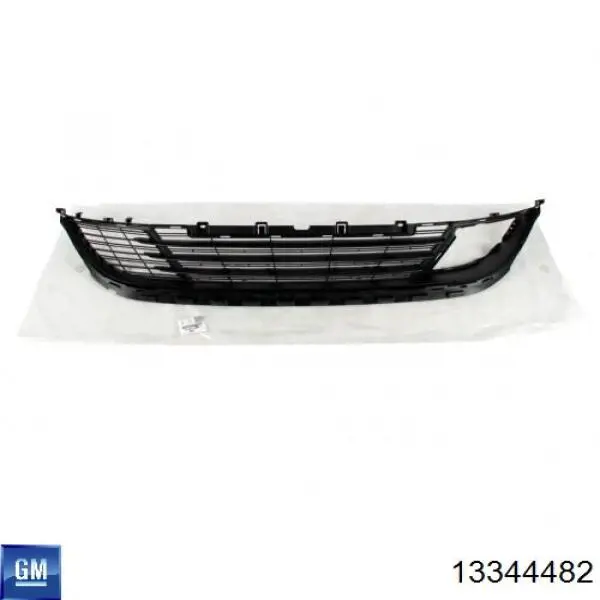13344482 General Motors Calandra