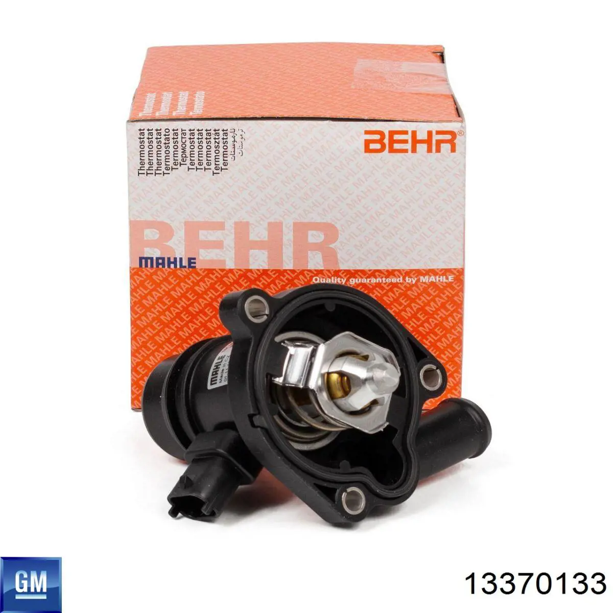 Botella expansion General Motors 13370133 precio, desde 16,44 EUR