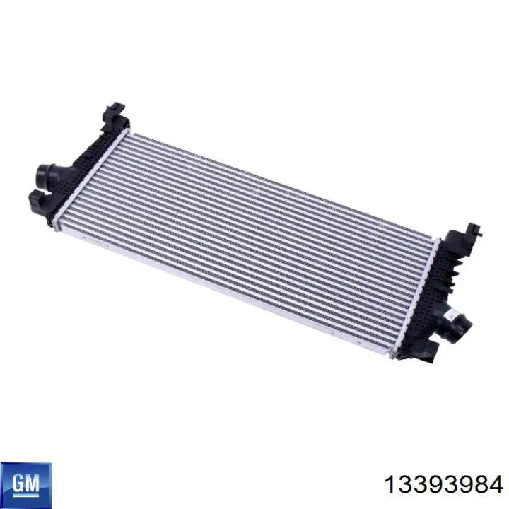 13393984 General Motors Refrigeración del motor