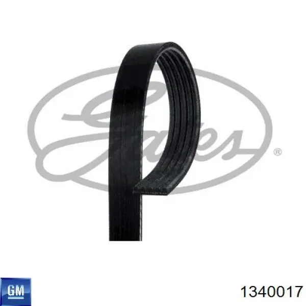 Correa de alternador 1340017 General Motors