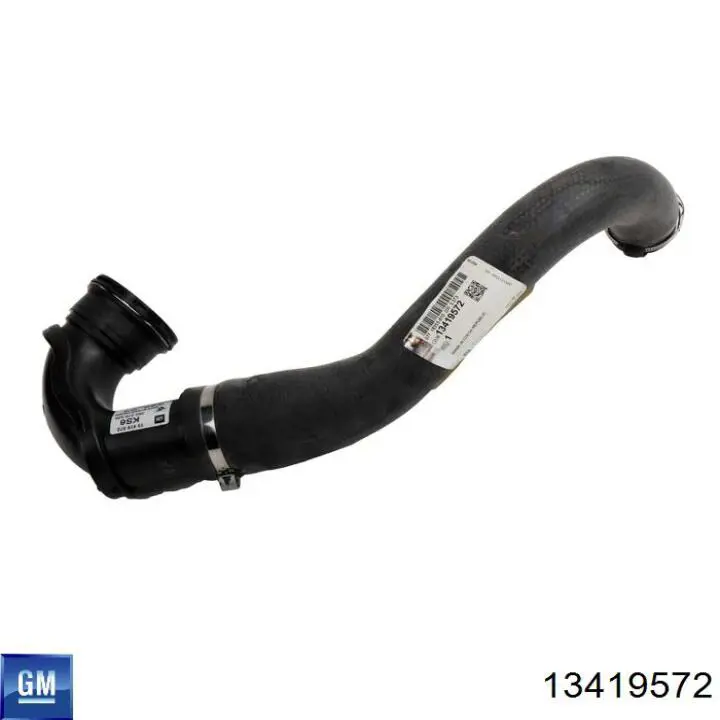 Manguera del intercooler General Motors 13419572 precio, desde 29,83 EUR