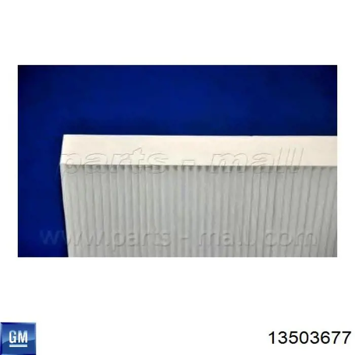 Filtro de polen General Motors 13503677