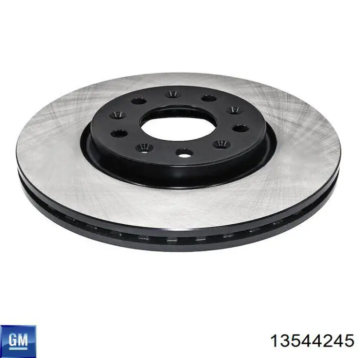 Disco de freno trasero 13544245 General Motors