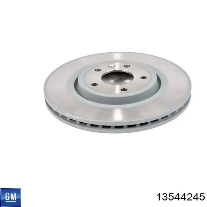 Disco de freno trasero General Motors 13544245 precio, desde 47,19 EUR