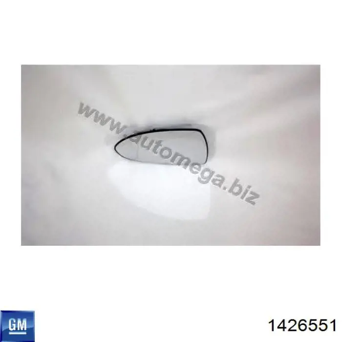 1426551 General Motors Cristal de espejo retrovisor exterior izquierdo
