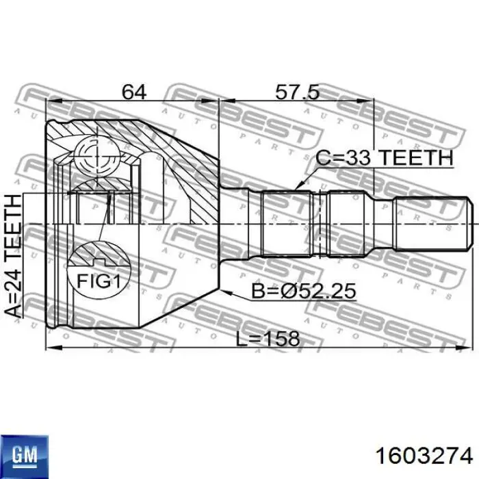 1603274 General Motors junta homocinética exterior delantera