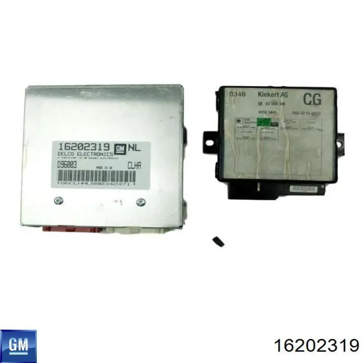 16202319 General Motors centralina del motor / modulo de control del motor (ecu)