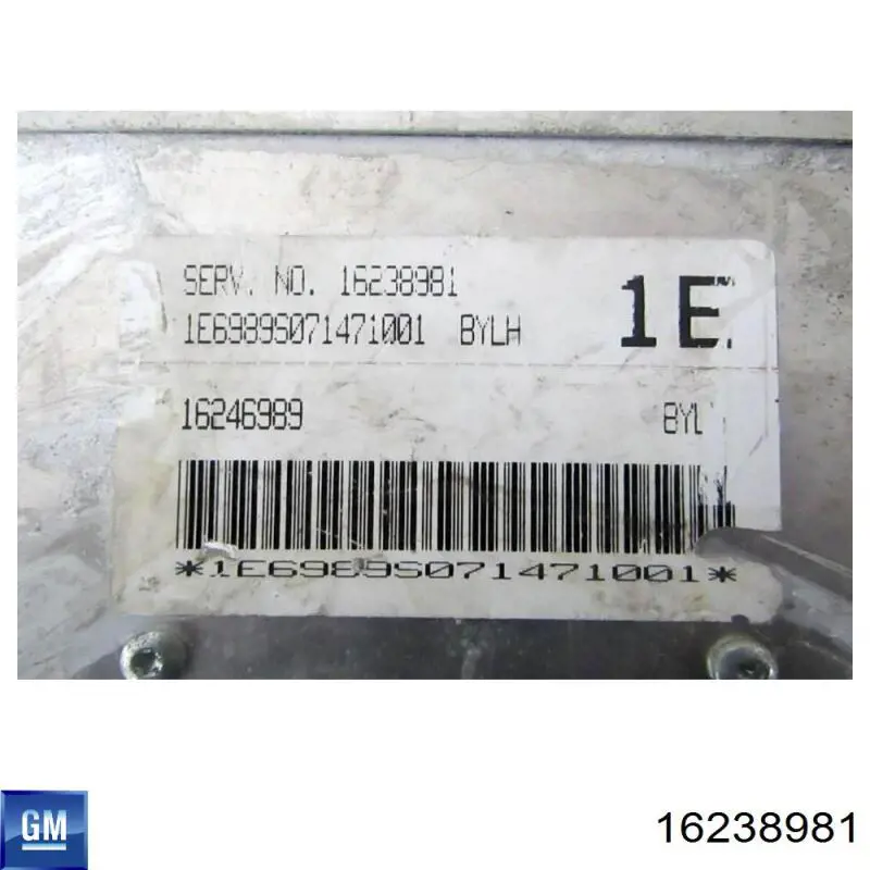 Unidad de control del motor  General Motors 16238981 precio, desde 71,15 EUR