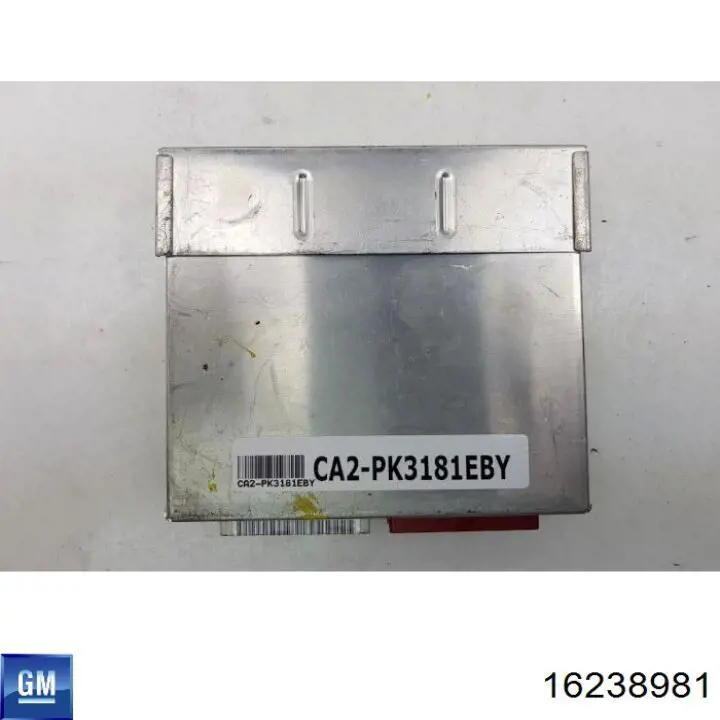 ECU 16238981 General Motors