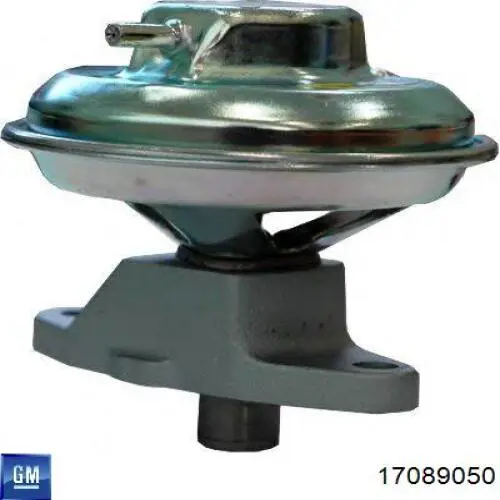 Comprar 17089050 General Motors Válvula EGR