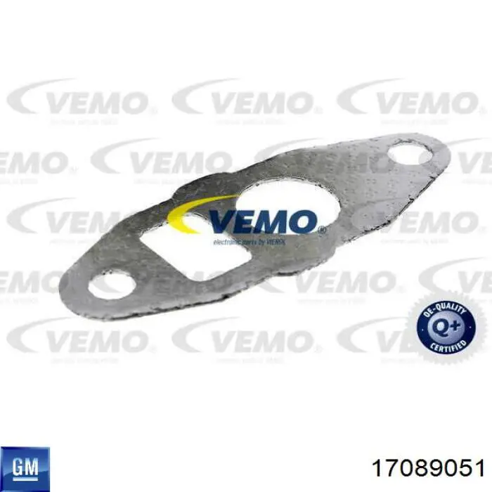 17089051 General Motors Válvula EGR