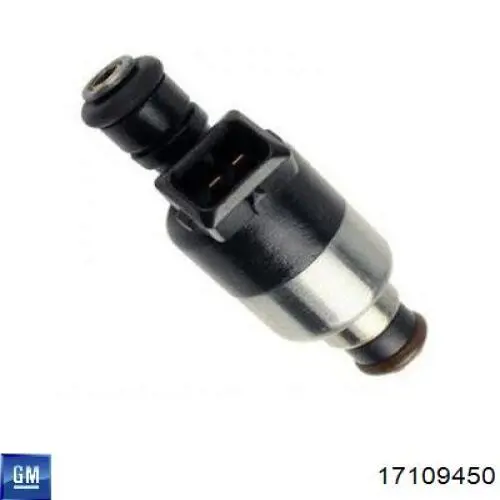 17109450 Market (OEM) inyector de combustible