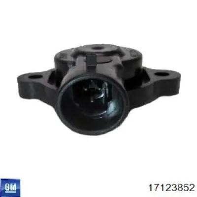 17123852 General Motors sensor, posición mariposa