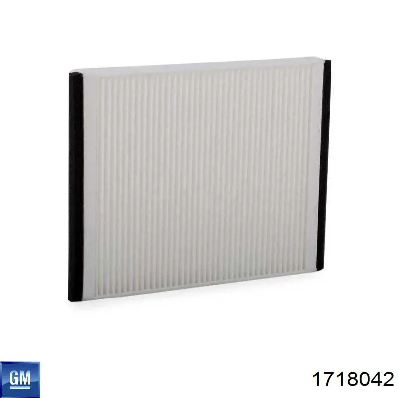 1718042 General Motors Filtro antipolen