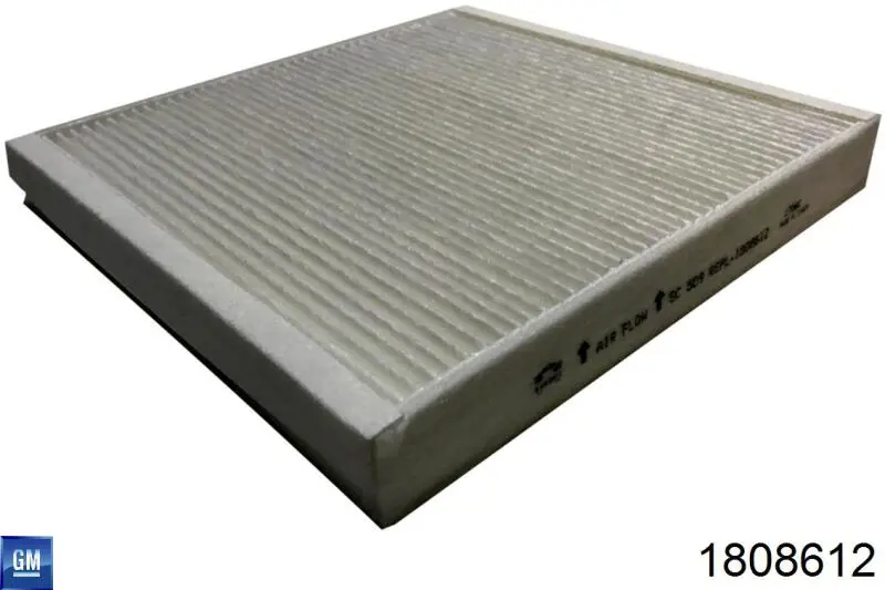1808612 General Motors Filtro antipolen