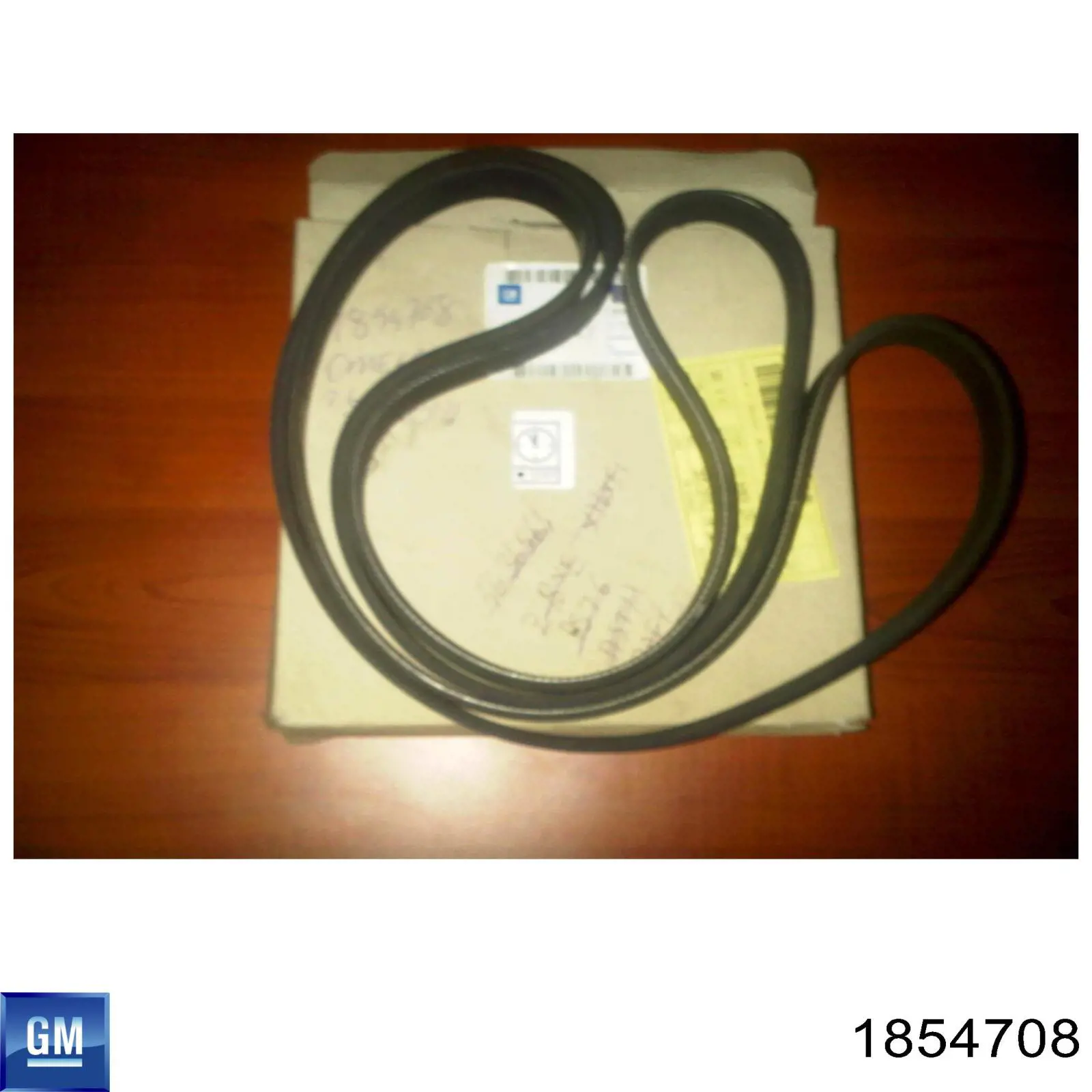 1854708 General Motors Correa poly v
