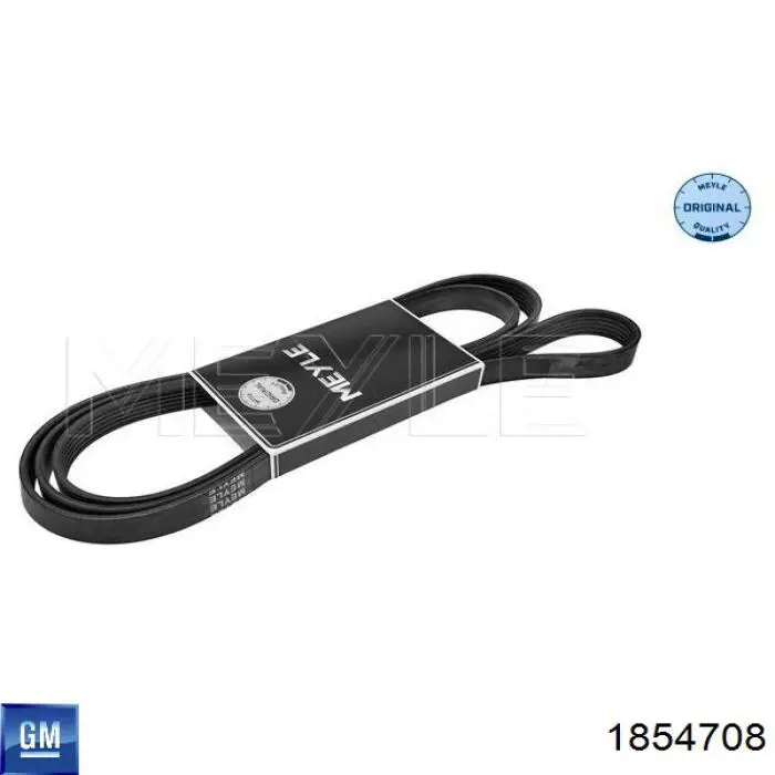 Correa de transmisión trapezoidal General Motors 1854708 precio, desde 19,66 EUR