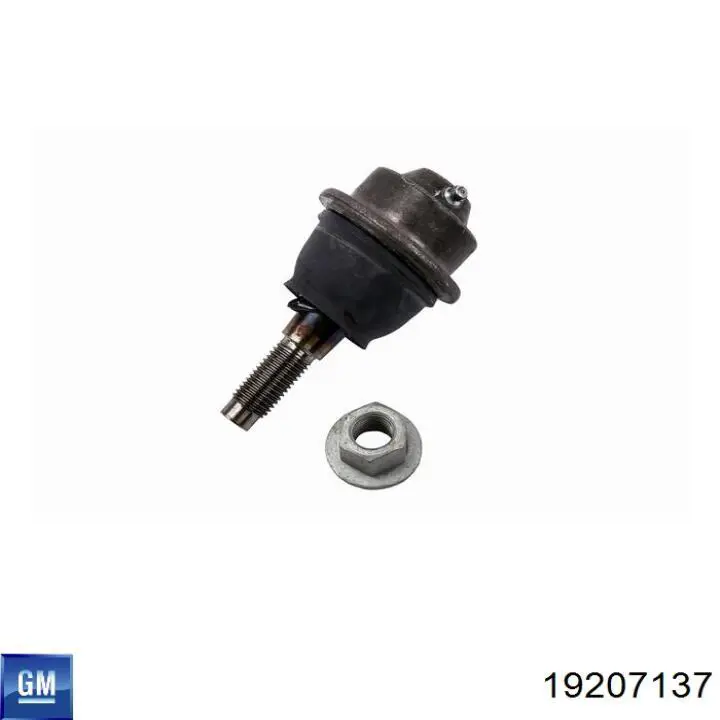 Rótula inferior de suspensión 19207137 General Motors