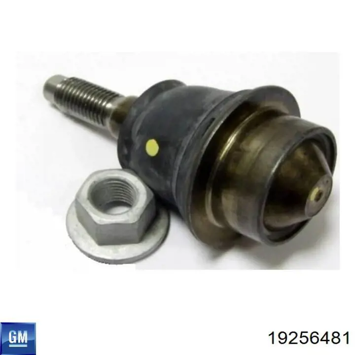 19256481 General Motors Rótula inferior de suspensión