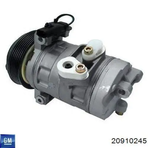 Compresor ac General Motors 20910245 precio, desde 181,50 EUR