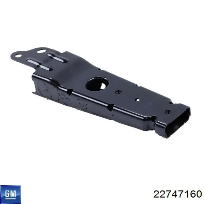 Água radiador General Motors 22747160 precio, desde 191,98 EUR