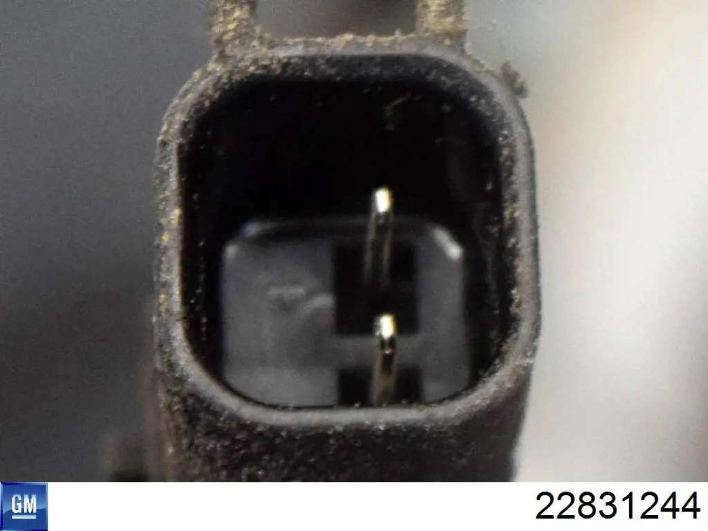 22831244 General Motors Sensor de rueda abs