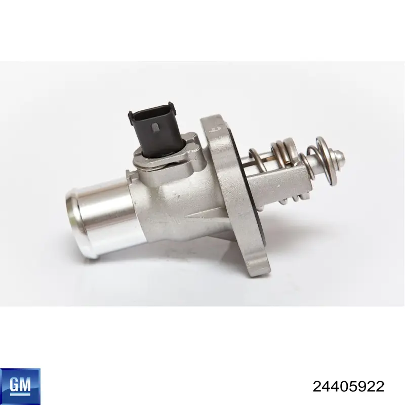 Termostato 24405922 General Motors