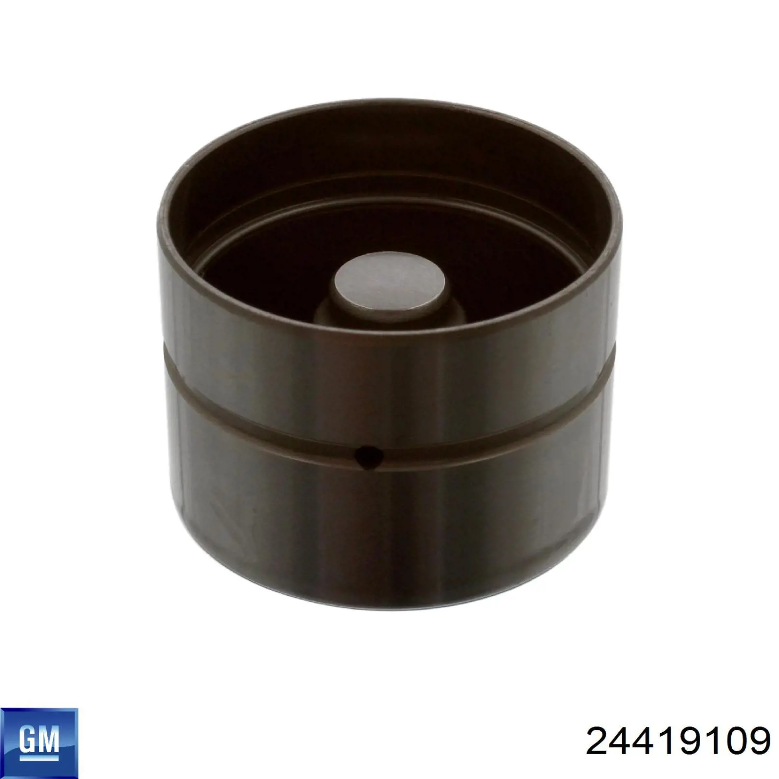 Comprar 24419109 General Motors Taqués hidráulicos