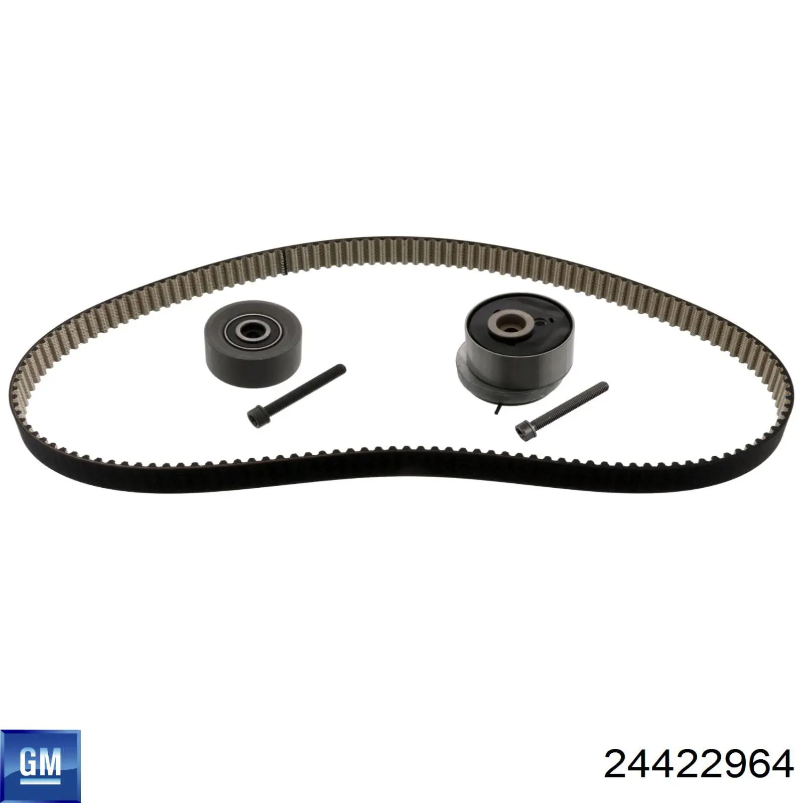 Correa de distribución General Motors 24422964 precio, desde 33,91 EUR