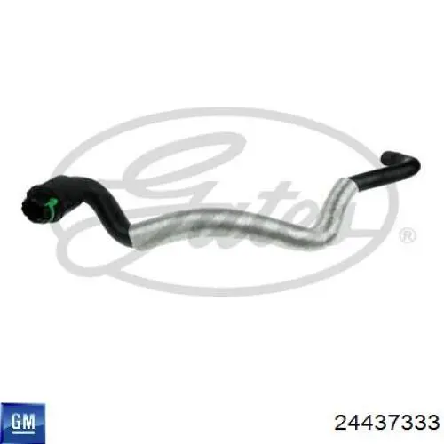 Comprar 24437333 General Motors Manguera de calefacción, entrada