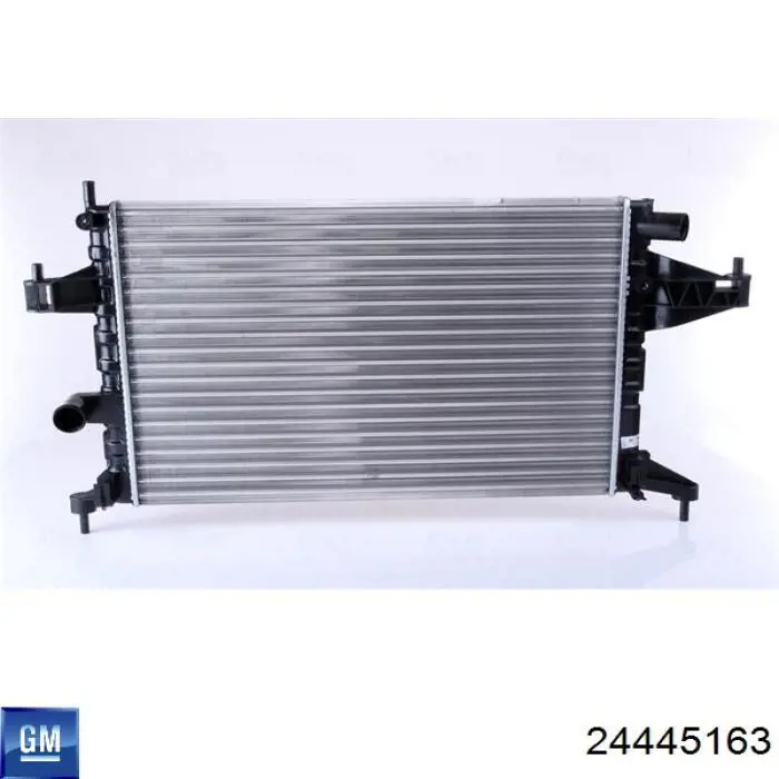 Água radiador General Motors 24445163 precio, desde 51,44 EUR