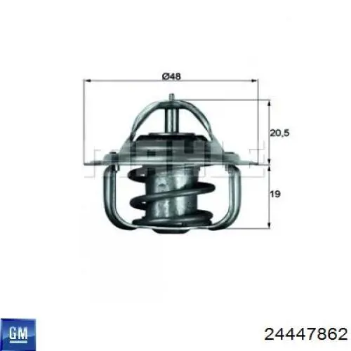 Termostato General Motors 24447862 precio, desde 29,42 EUR