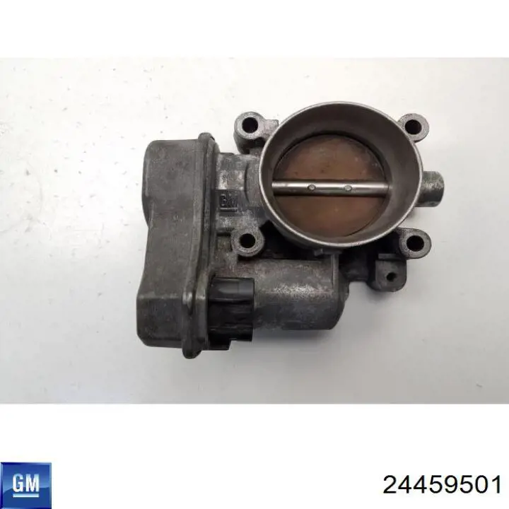 24459501 General Motors cuerpo de mariposa completo