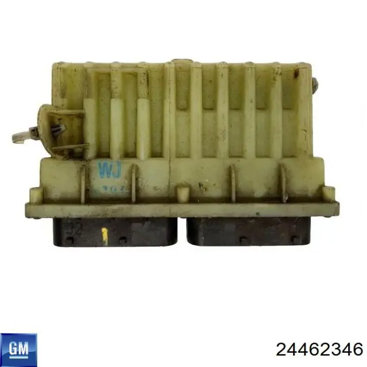  General Motors 24462346 precio, desde 31,94 EUR