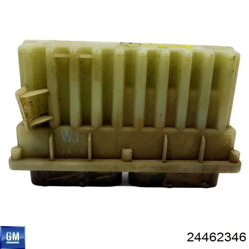 Comprar 24462346 General Motors 