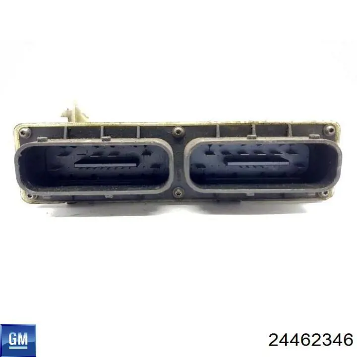 24462346 General Motors 