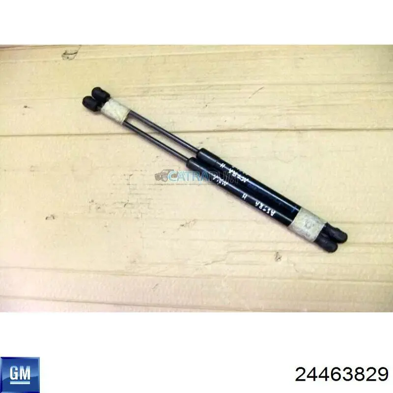 Comprar 24463829 General Motors Amortiguador de puerta trasera