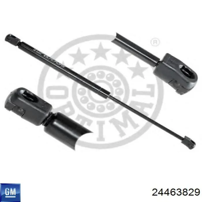 Amortiguador maletero 24463829 General Motors