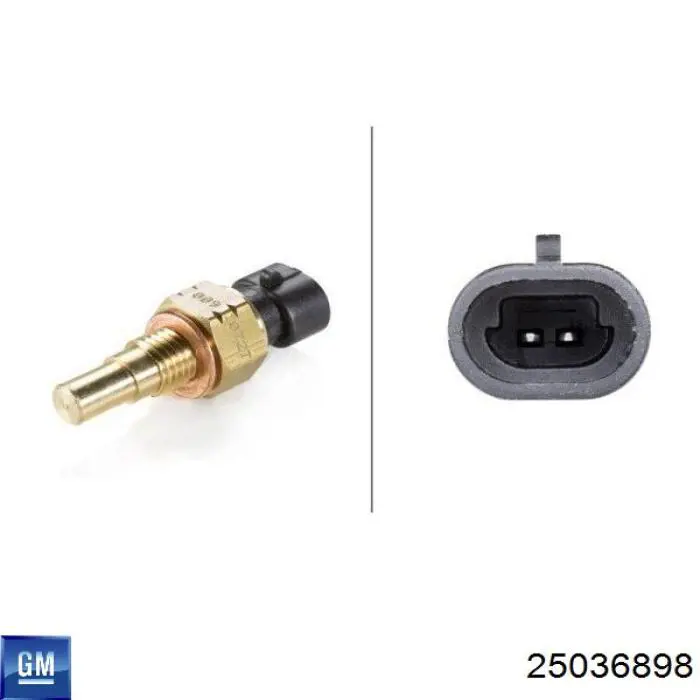 Sensor de temperatura del refrigerante Chevrolet Aveo 2 T250, T255