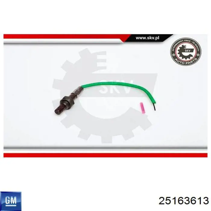 Comprar 25163613 General Motors Sensor de oxígeno previo al catalizador