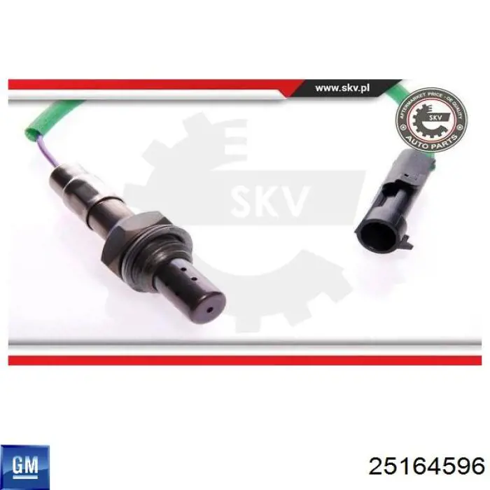 Sonda de oxígeno General Motors 25164596 precio, desde 31,78 EUR