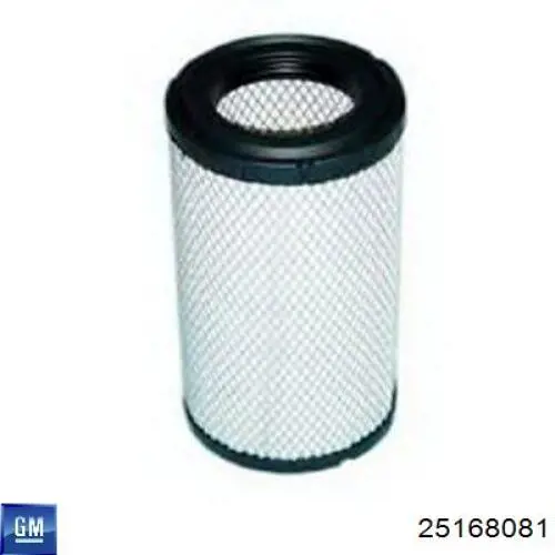 Filtro de aire 25168081 General Motors